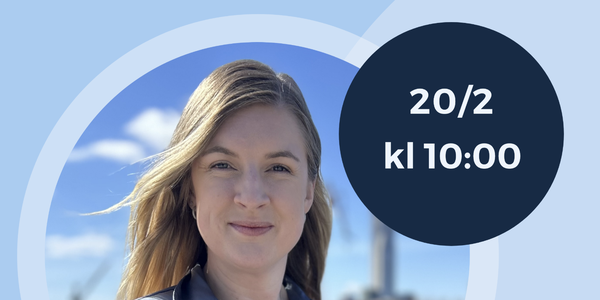 Skärmavbild 2025-02-06 kl. 13.49.25