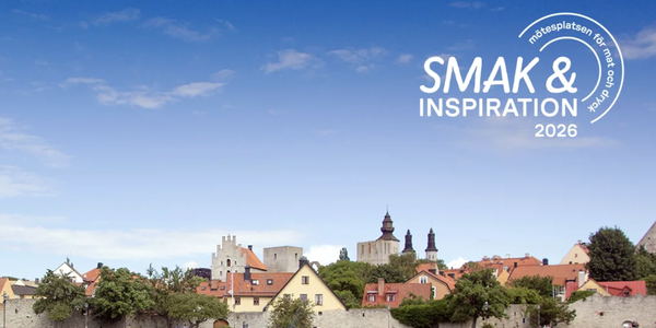 msvisby2026